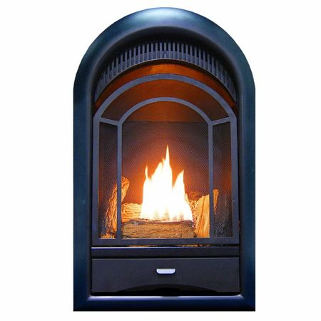 Procom Dual Fuel Ventless Gas Fireplace Insert - Arched Door, 15,000 B PCS150T
